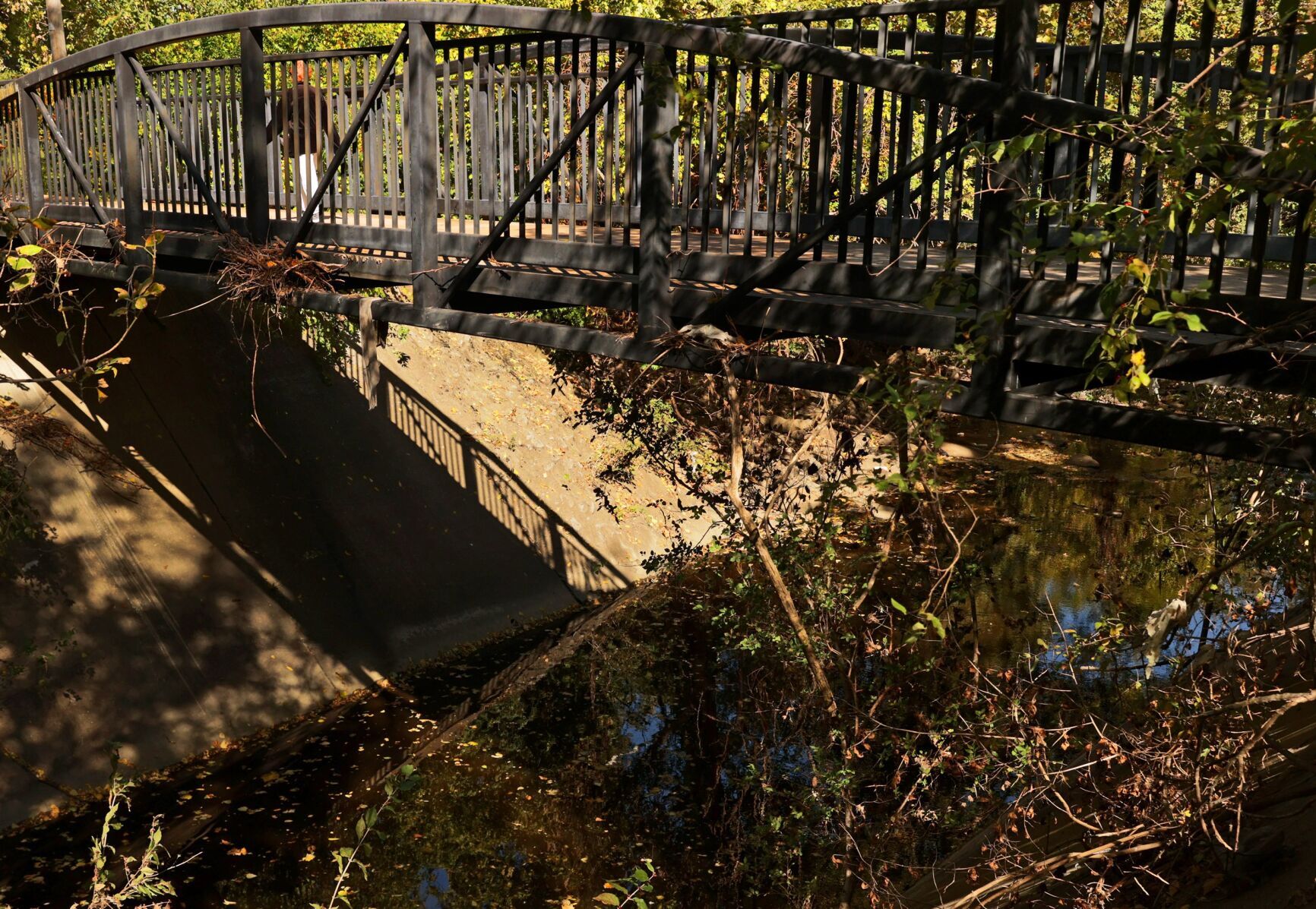 Recent Coldwater Creek flood may have endangered school